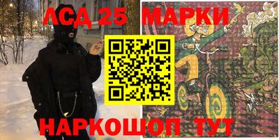 амф Можга