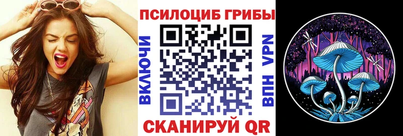 Галлюциногенные грибы Psilocybine cubensis  наркота  Фрязино 