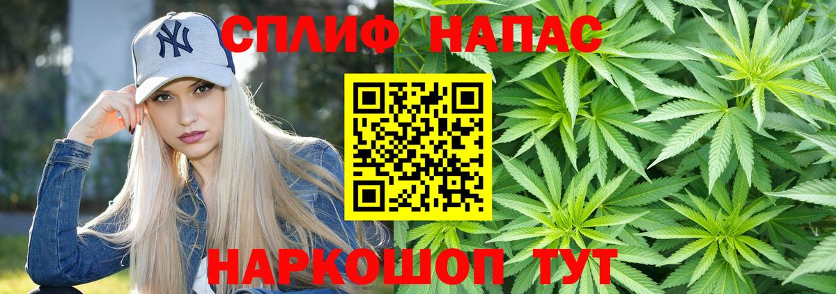 Конопля марихуана Фрязино